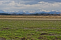 白神山地　絵画調