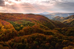 八甲田紅葉と岩木山