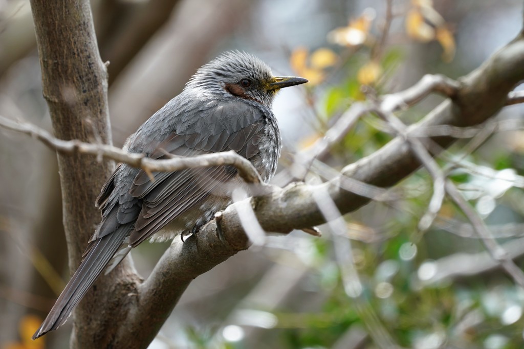 何たべたん・・・?
