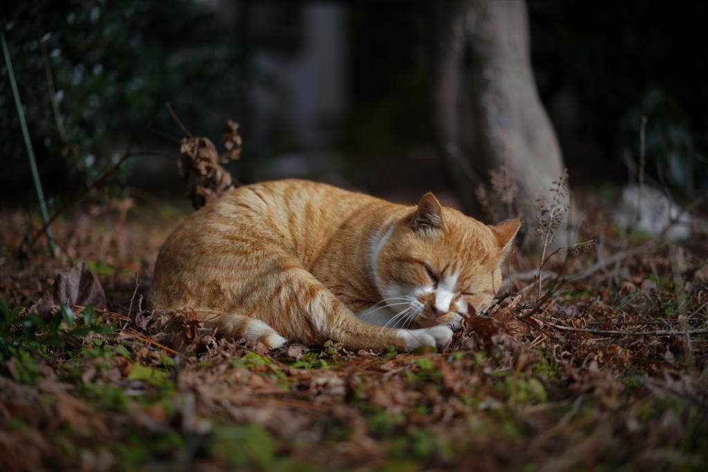 この場所が好き・・・