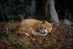 この場所が好き・・・