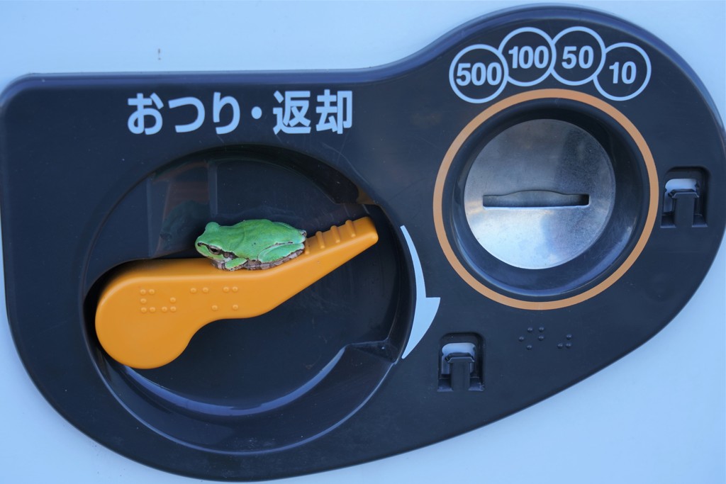 こんな時あなたは・・・