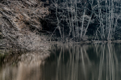 水鏡