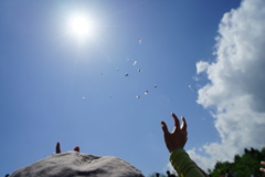 イベントハイライト(餅撒き)