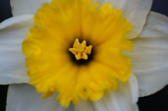 ブラックホール