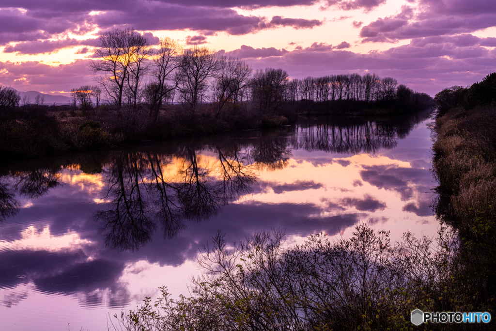 purple　waterway