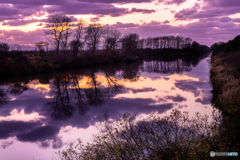 purple　waterway
