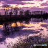 purple　waterway