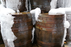 春まで待てん・・・