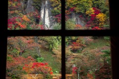 いつもの窓から・・・