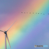 虹と風車とマガン