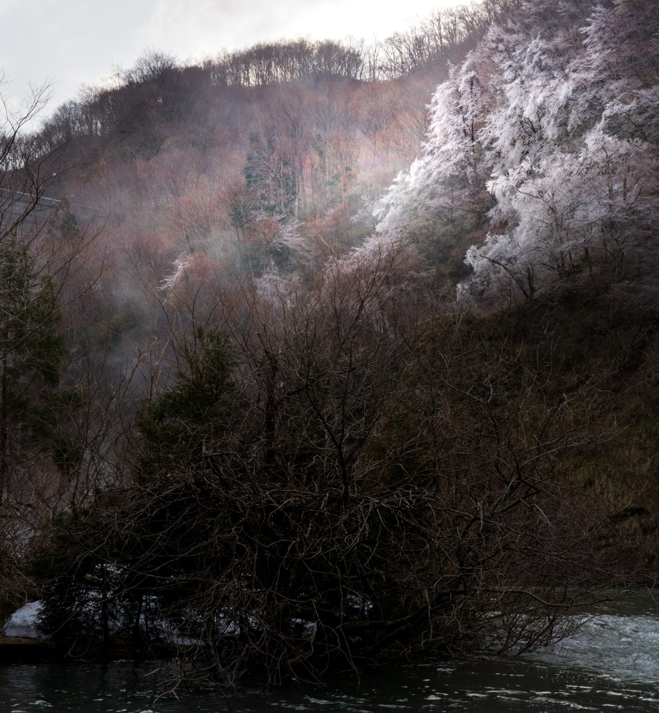 ダムのしぶきと樹霧