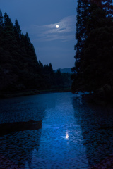 おぼろ月