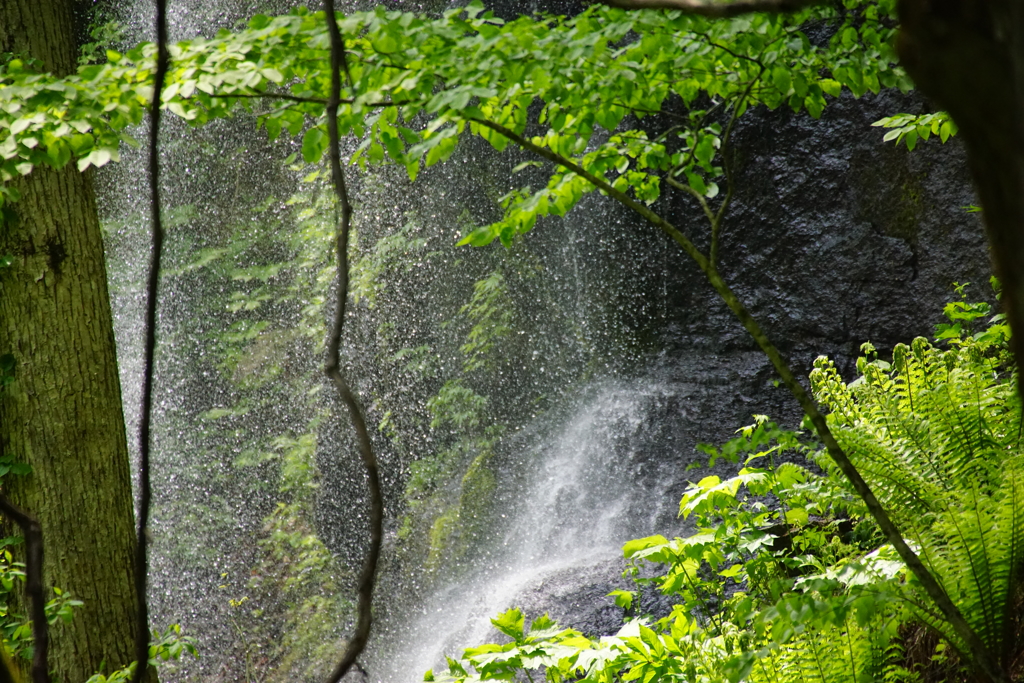 マイナスイオン