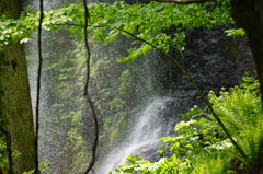 マイナスイオン