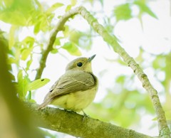 新緑の中で・・・