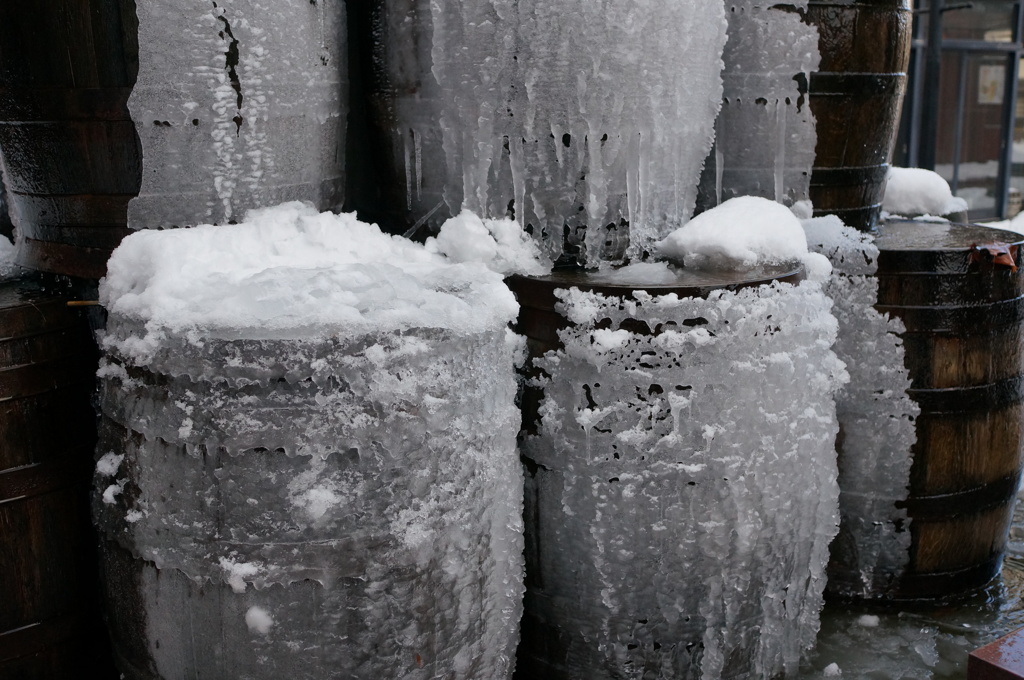 春まで待てん・・・