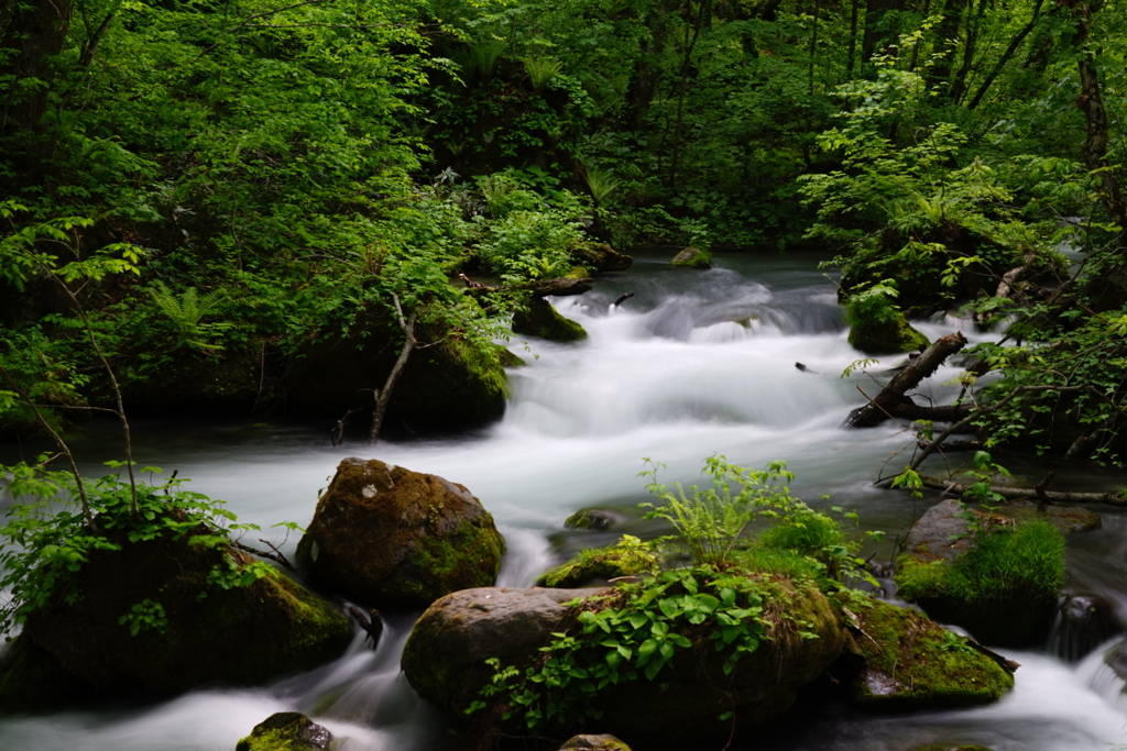 奥入瀬へ行こう!・・・Ⅲ