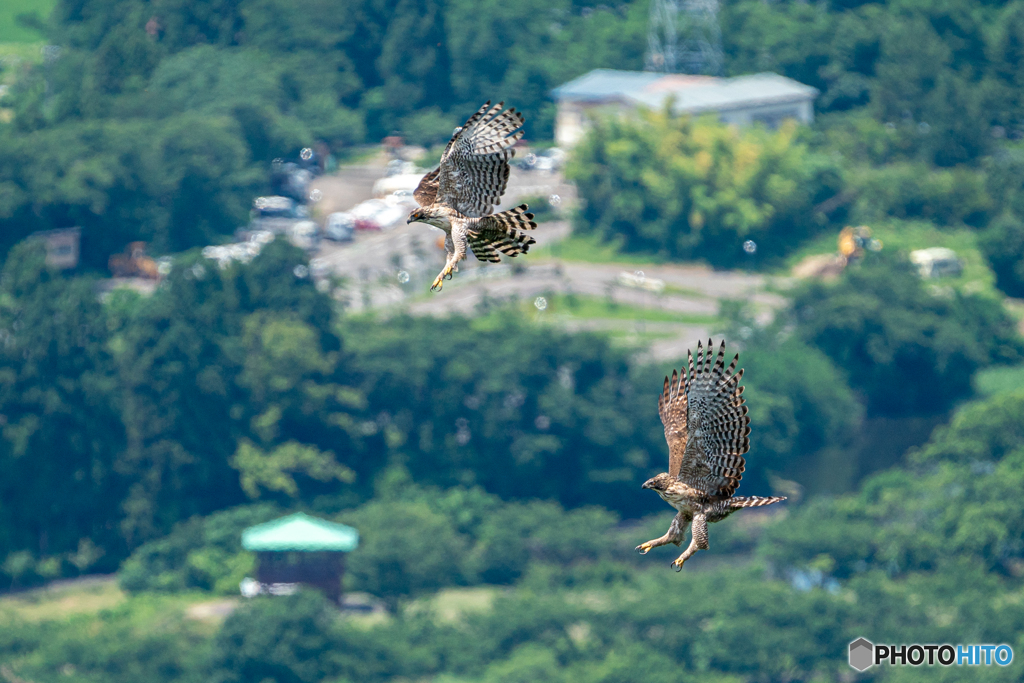 空中デート