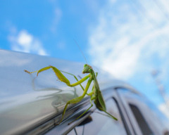 愛車に最初にキズをつけた奴!