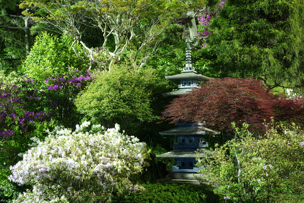 日本庭園Ⅱ