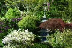 日本庭園Ⅱ