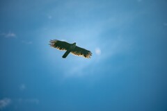 秋空高く