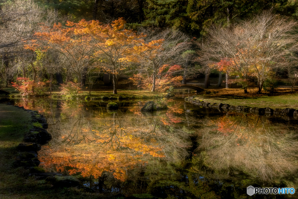 晩秋の銀細工