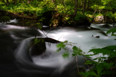 奥入瀬へ行こう!