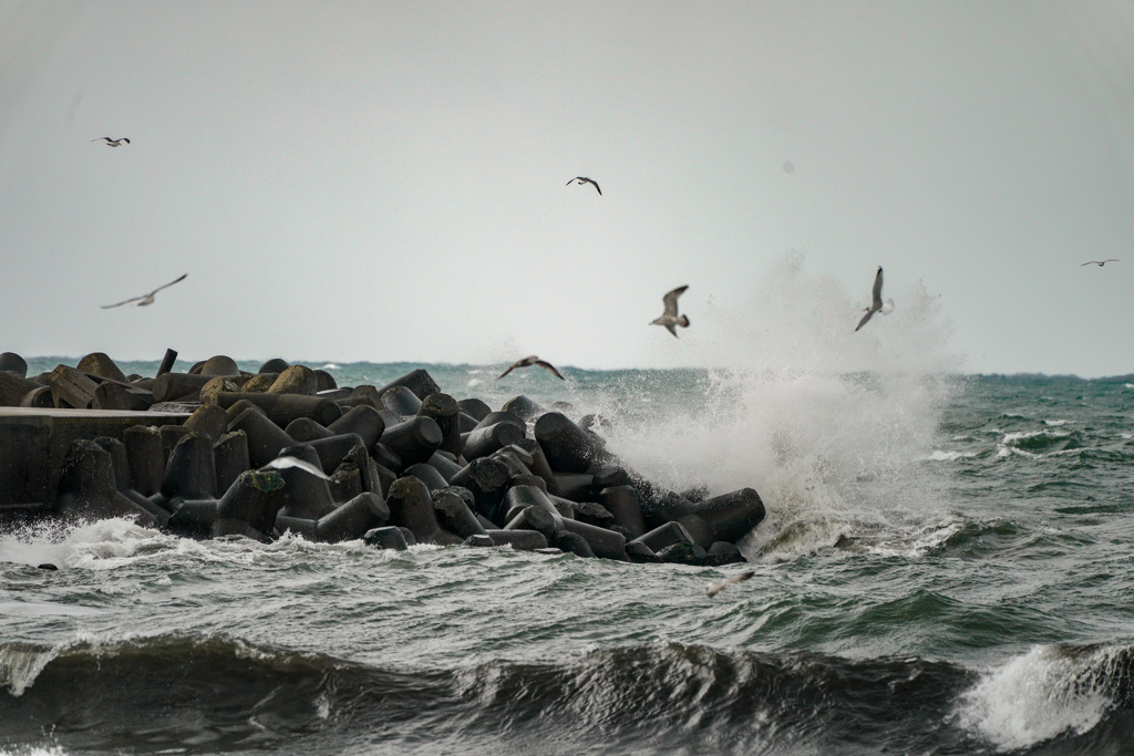 暴れる日本海