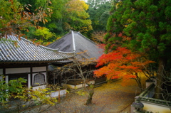 仏通寺の山の上