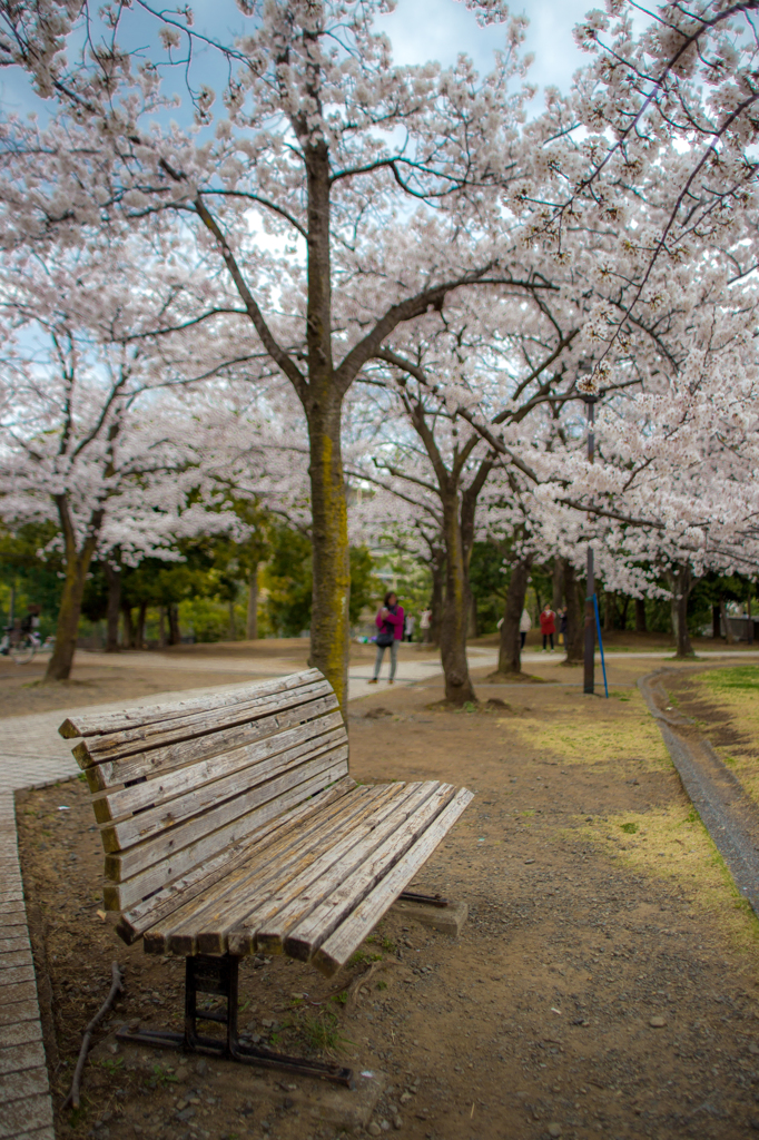 桜への嫉妬４