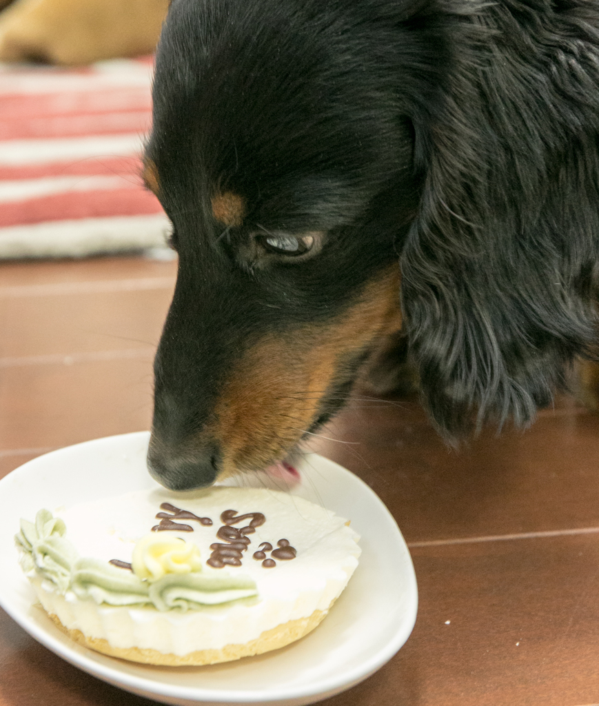 ケーキ