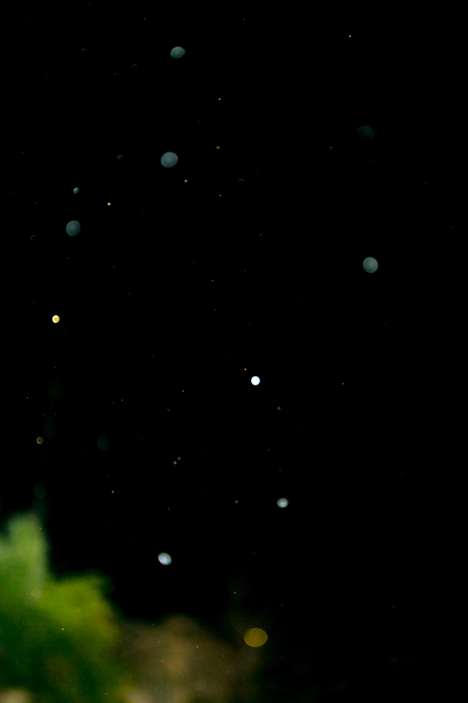 初雪