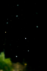 初雪