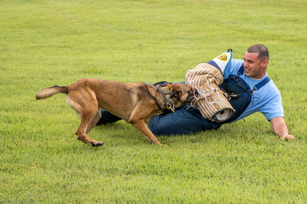 K-9　軍用警察犬