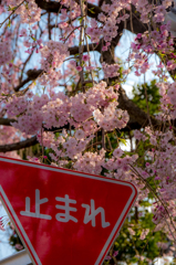 時間よ