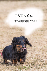 コジロウくんへ