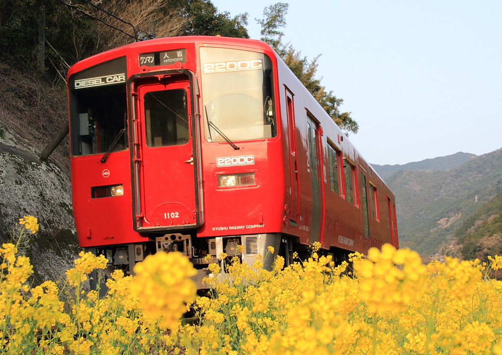 菜の花と一緒に