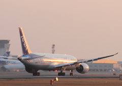 あなたの為に空を飛びたい