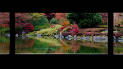 日本庭園の秋