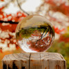 紅葉をとらえて