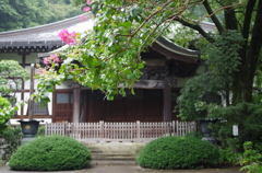 雨の国分寺