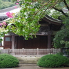 雨の国分寺