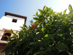 青い空、白い壁