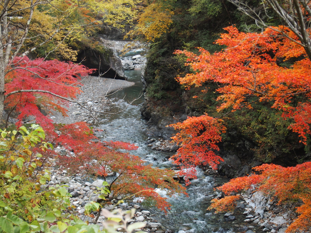 紅葉もいいけど川も･･･