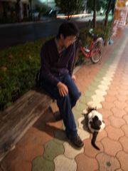 猫と青年