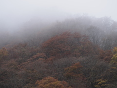 霧の峠道