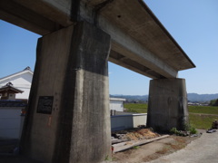 DSC00520