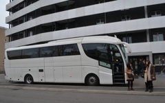 DSbm1